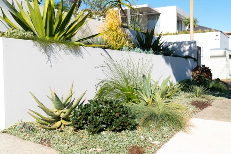 Lushgrow Turf & Horticultural Services gardening work in Cooks Hill