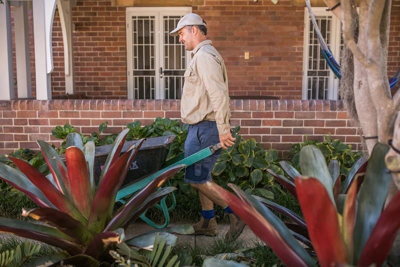 Lushgrow Turf & Horticultural Services gardening work in Cooks Hill