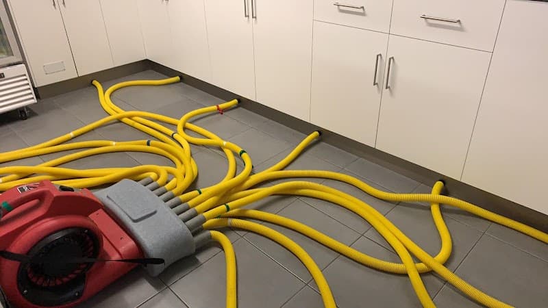 Mackay Carpet Care & Restoration Services carpet cleaning work in Mackay