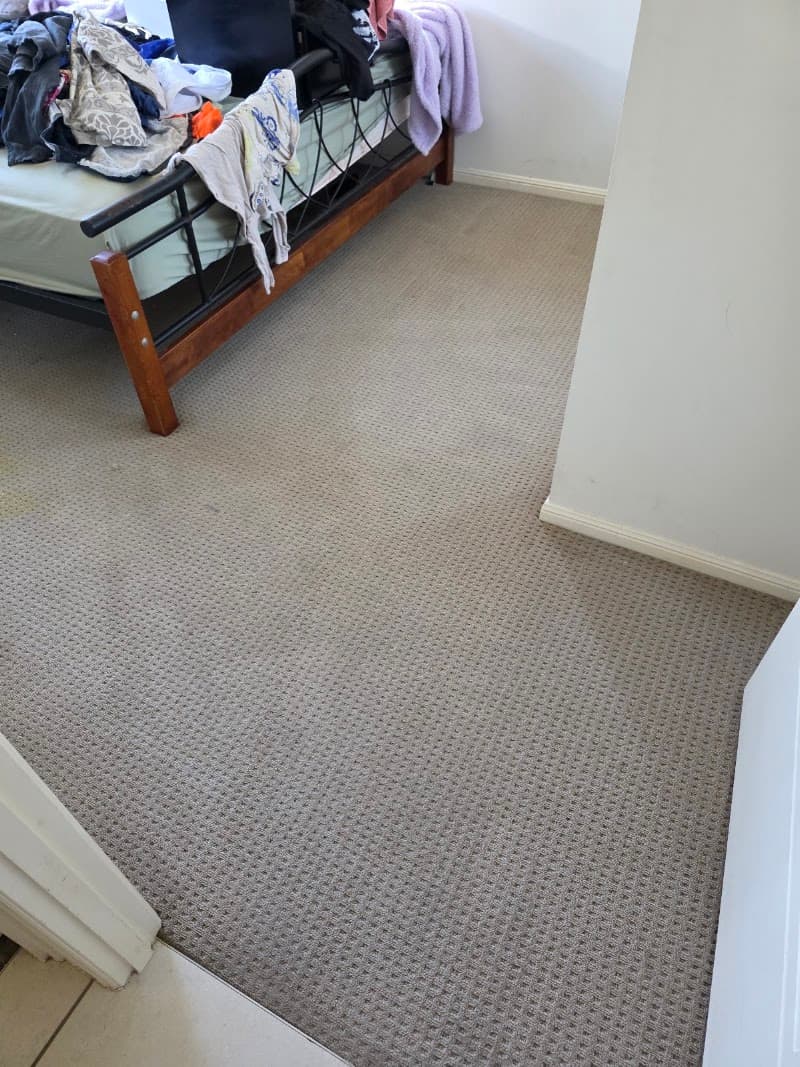 Magic Carpet Cleaning & Restoration Townsville carpet cleaning work in Garbutt