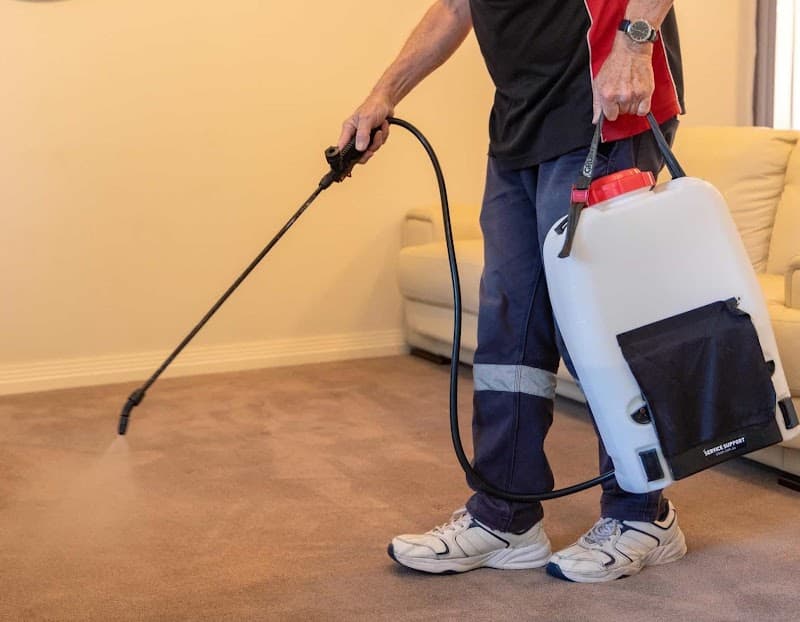 Magic Dry Carpet Cleaning Perth carpet cleaning work in Craigie