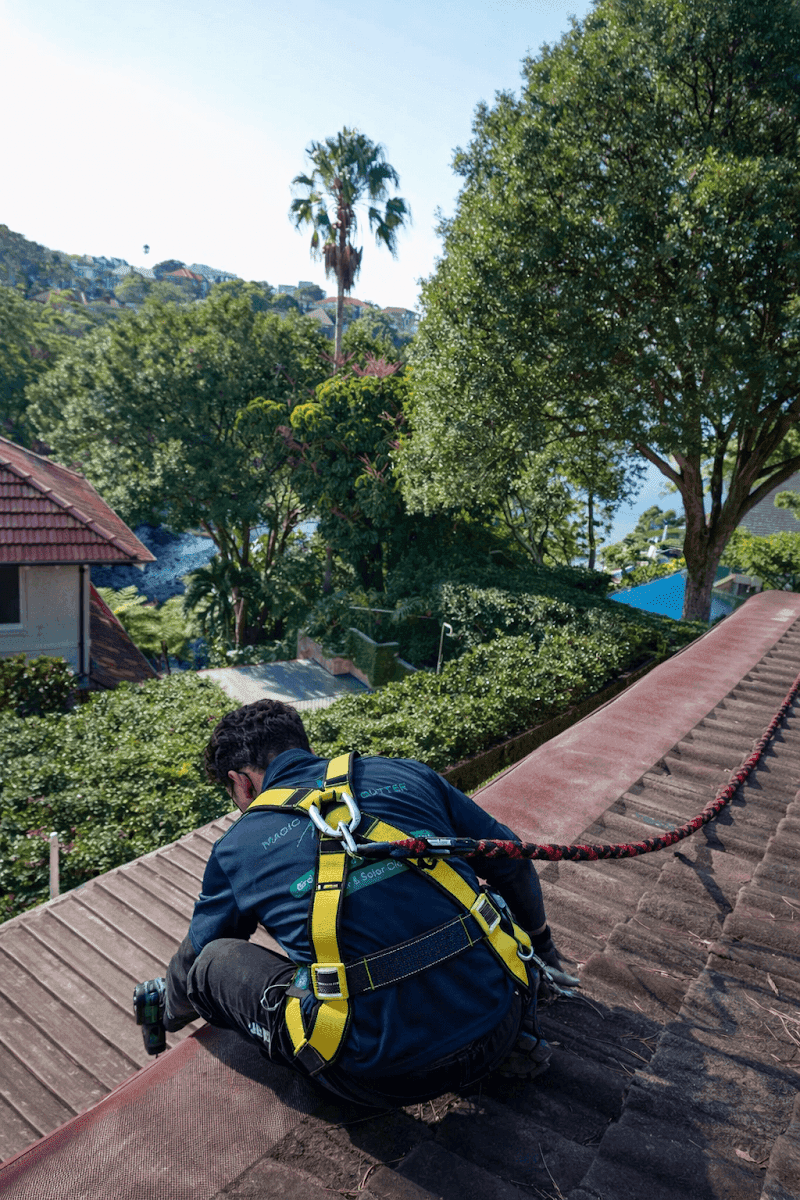 Magic Gutter gutter cleaning work in North Sydney