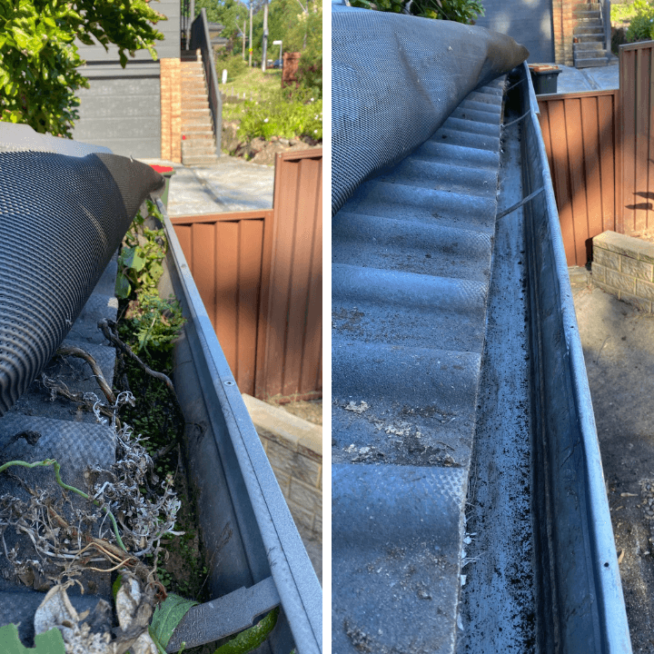 Magic Gutter gutter cleaning work in North Sydney
