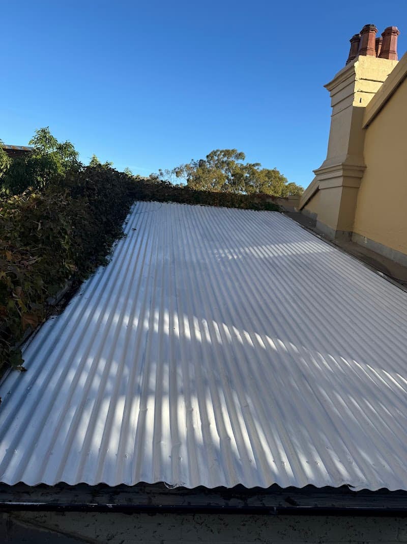Magic Gutter gutter cleaning work in North Sydney
