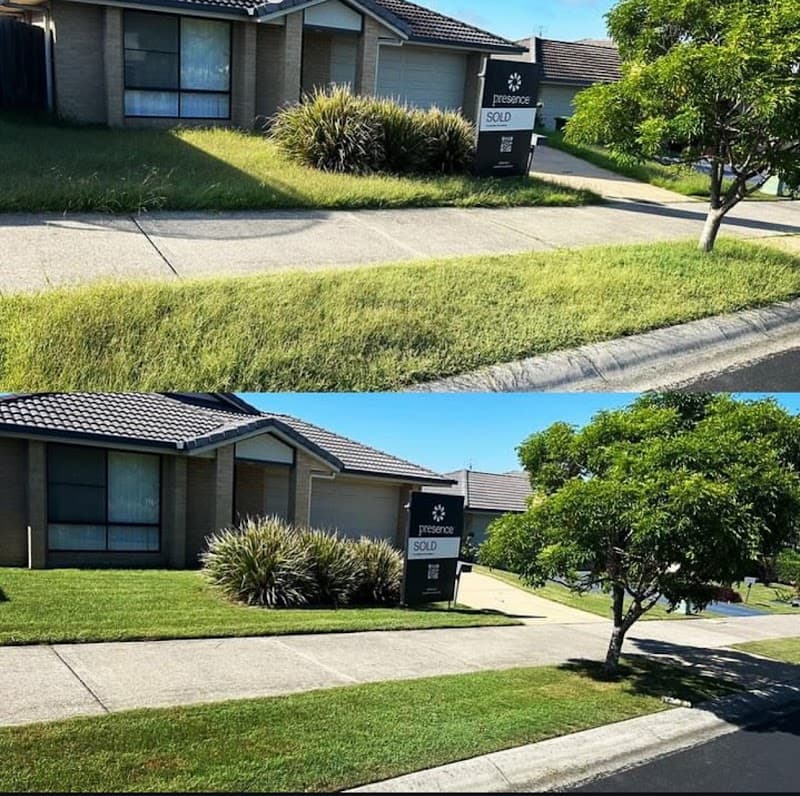 Magnus All Property Services gardening work in Waratah