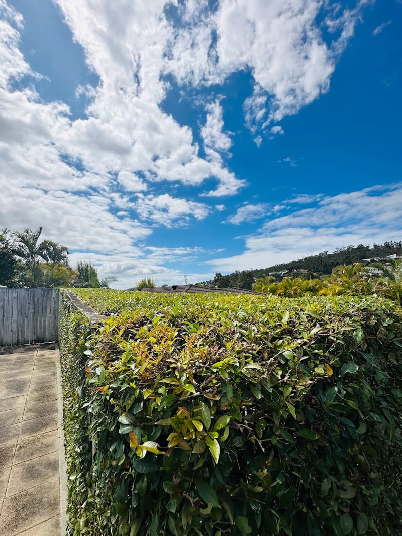 Maik Gardens landscaping work in Broadbeach Waters