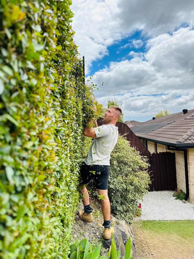 Maik Gardens landscaping work in Broadbeach Waters