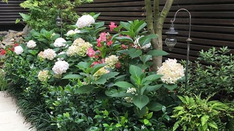 Maintain Me Gardening Services landscaping work in Ultimo