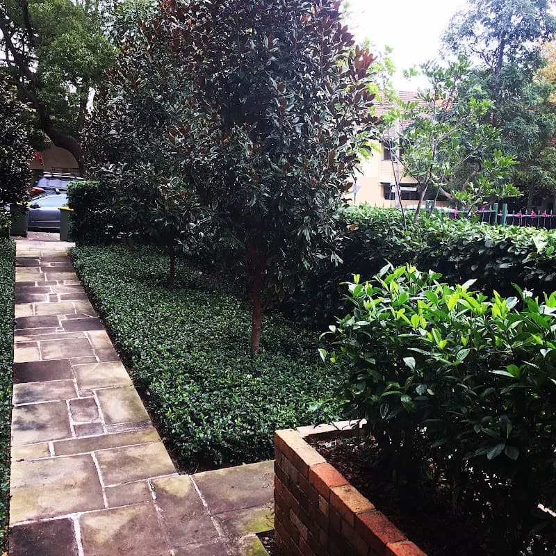 Maintain Me Gardening Services landscaping work in Ultimo