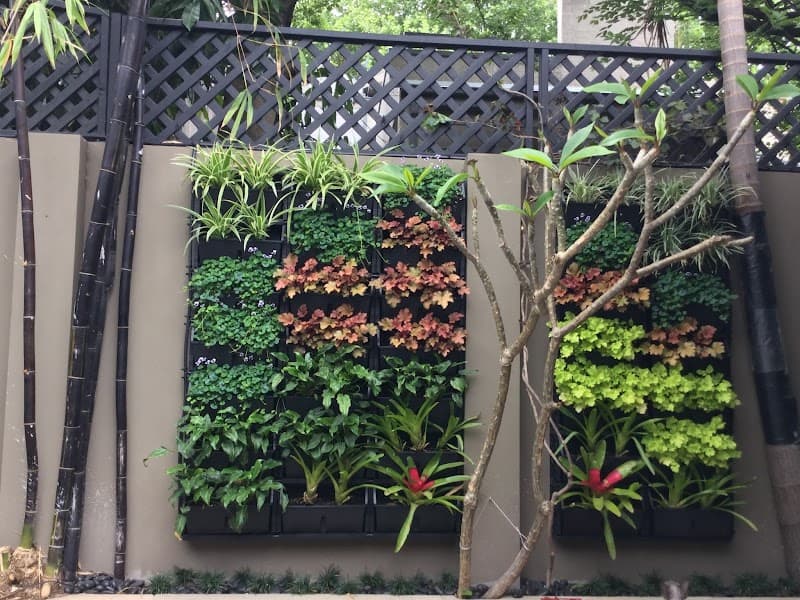 Maintain Me Gardening Services landscaping work in Ultimo