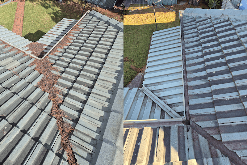 Maitland Pressure Washing and Garden Services pressure washing work in Thornton