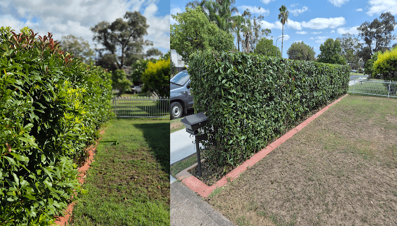 Maitland Pressure Washing and Garden Services pressure washing work in Thornton