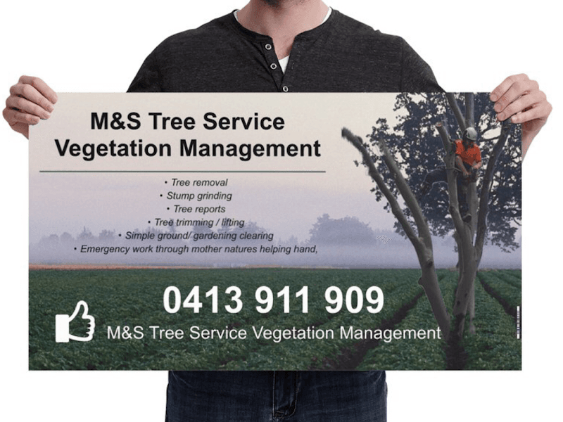 M&S tree services vegetation management tree services work in Maryborough