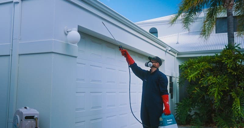 Mandurah Pest Control pest control work in Mandurah
