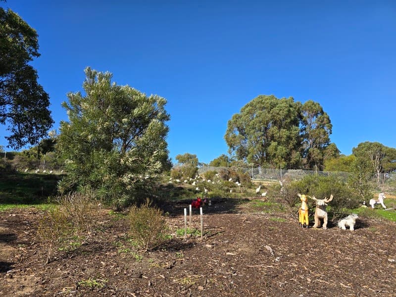 Mandurah Waste Management Centre rubbish removal work in Parklands
