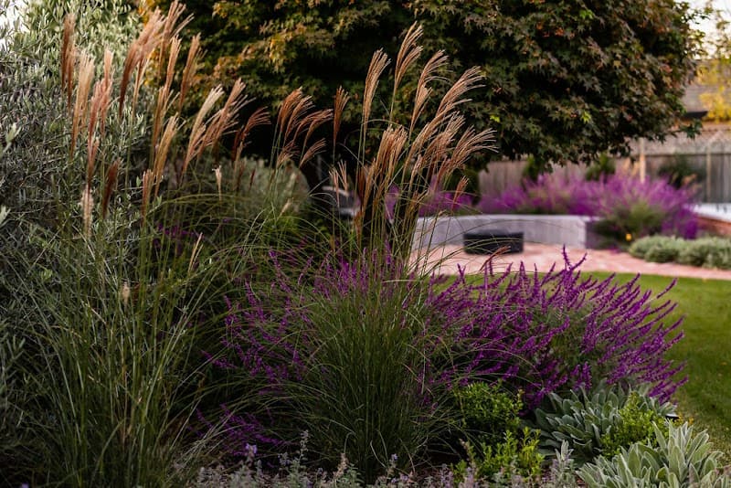 Manuka Gardens landscaping work in Fyshwick