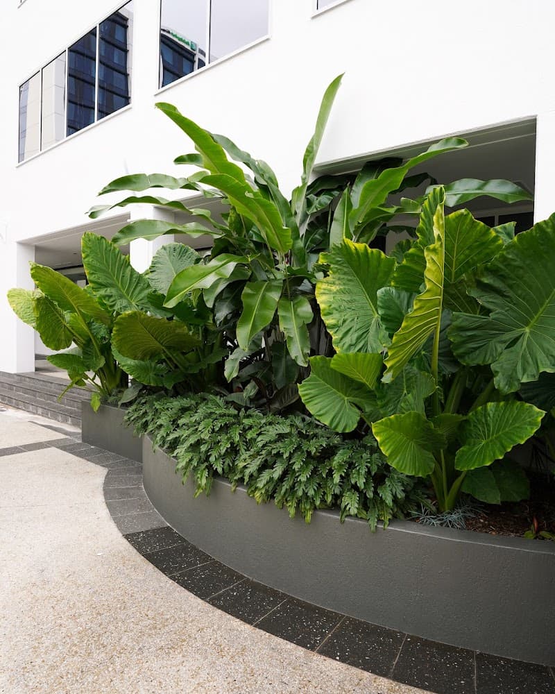 Martin Brothers landscaping work in Fortitude Valley