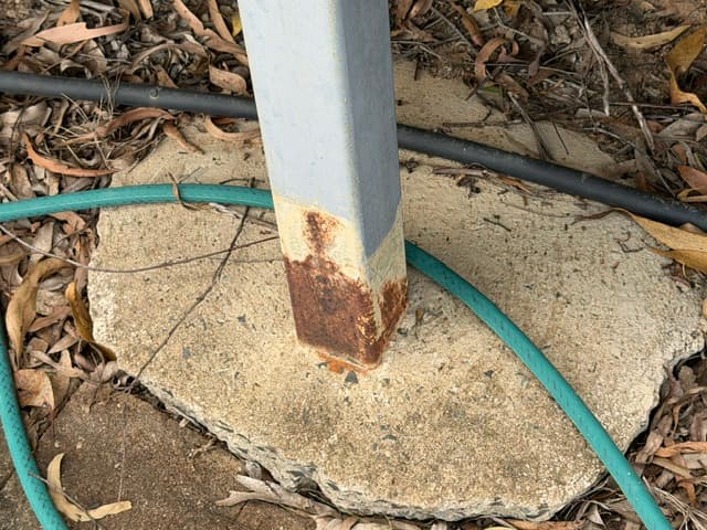 Maryborough/Hervey Bay Building and Pest Inspections pest control work in Scarness