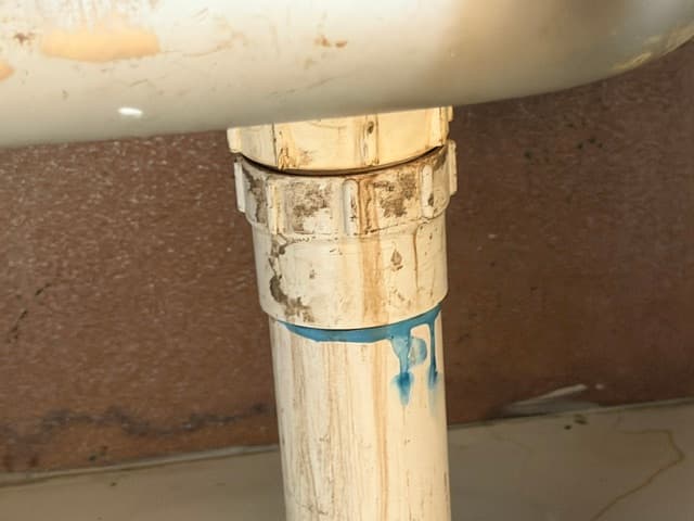 Maryborough/Hervey Bay Building and Pest Inspections pest control work in Scarness