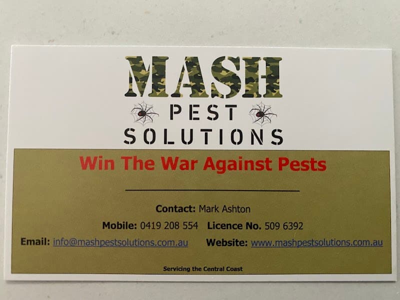 MASH Pest Solutions pest control work in Shelly Beach