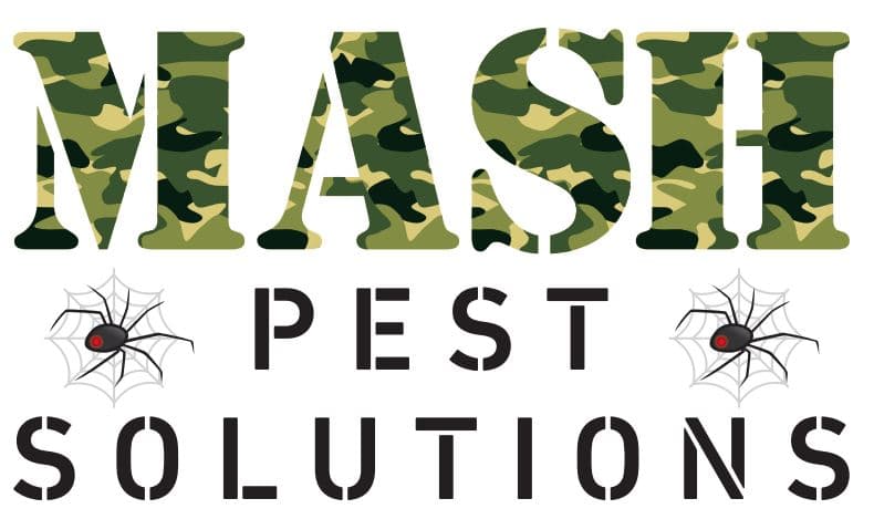 MASH Pest Solutions pest control work in Shelly Beach