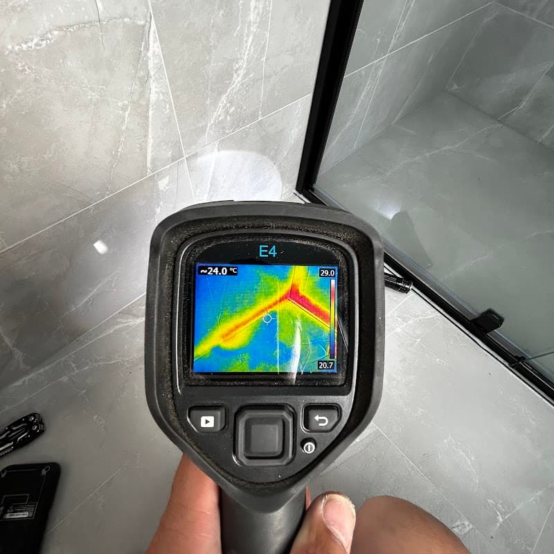 Master Inspections pest control work in Newtown