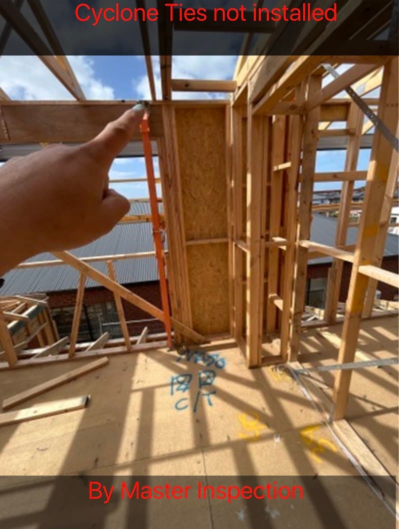 Master Inspections pest control work in Newtown