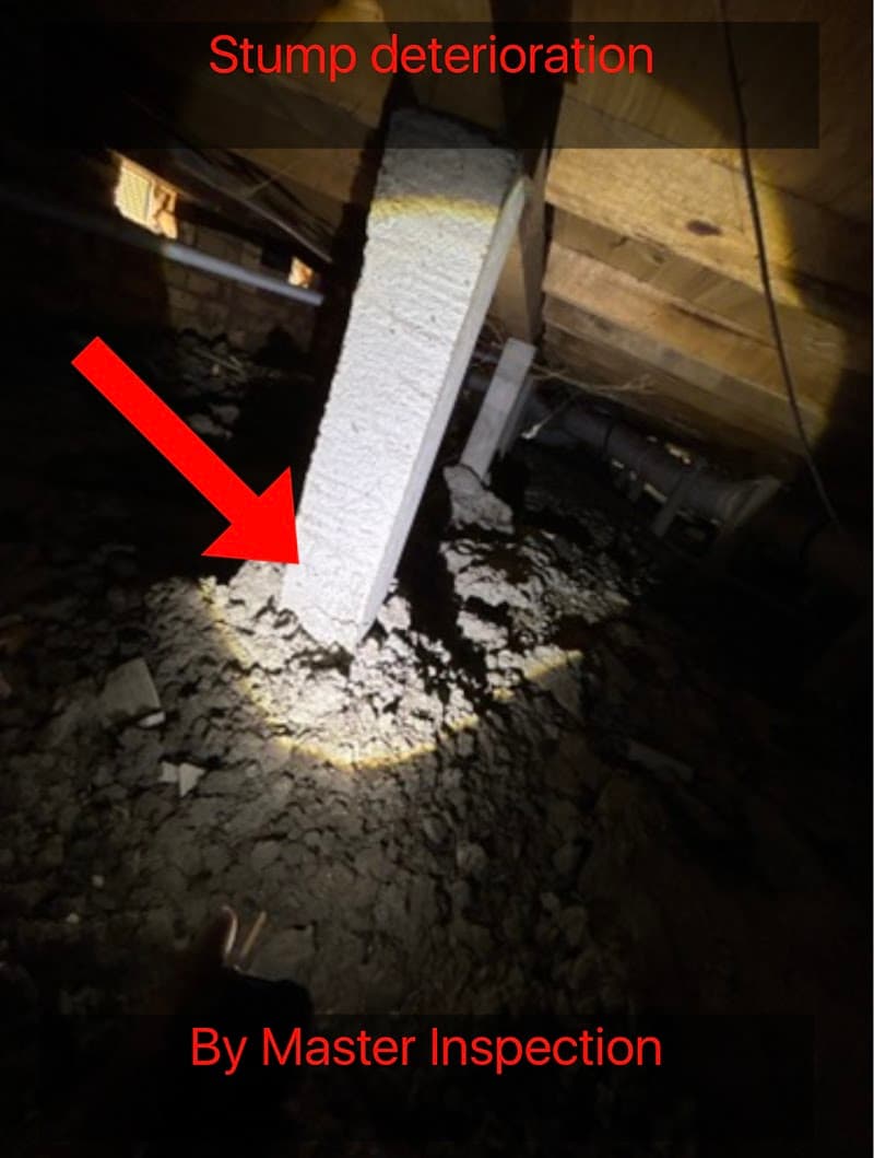 Master Inspections pest control work in Newtown