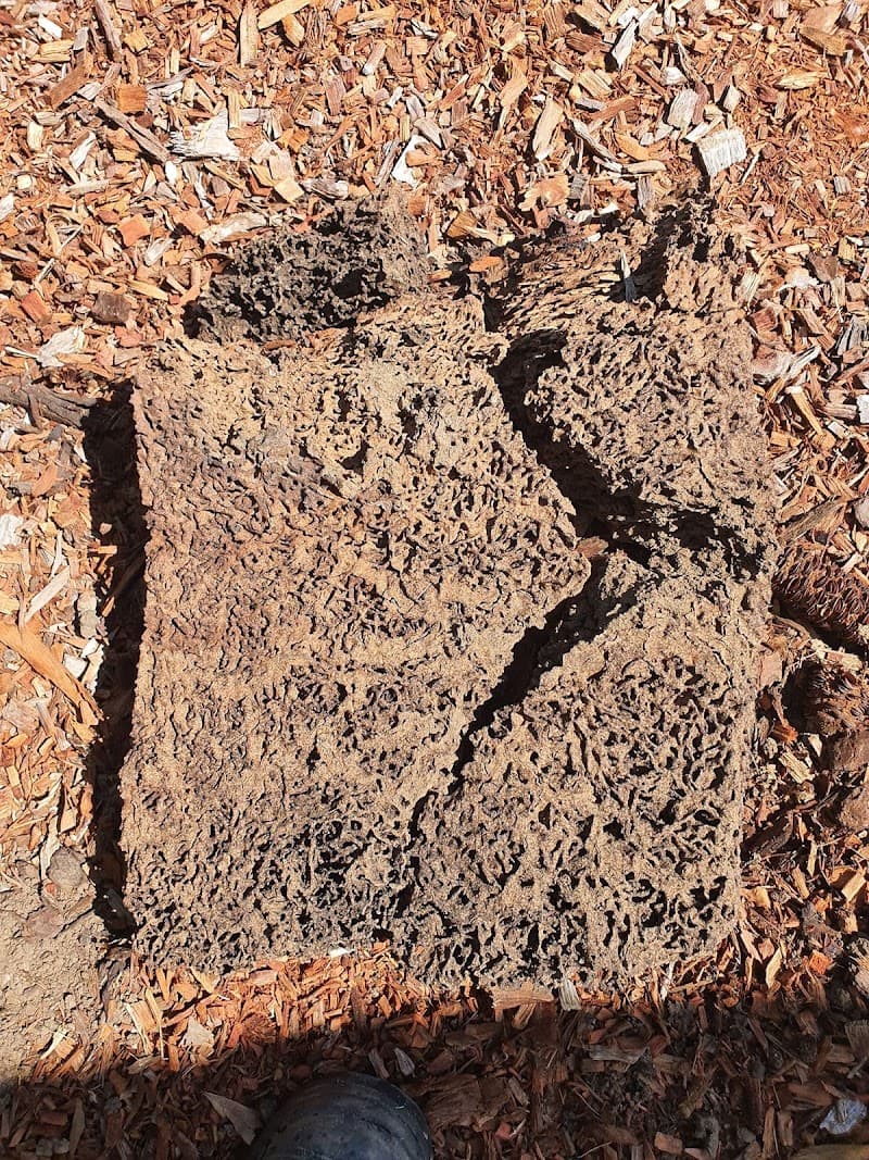 Master Kill Pest Control Warners Bay pest control work in Warners Bay