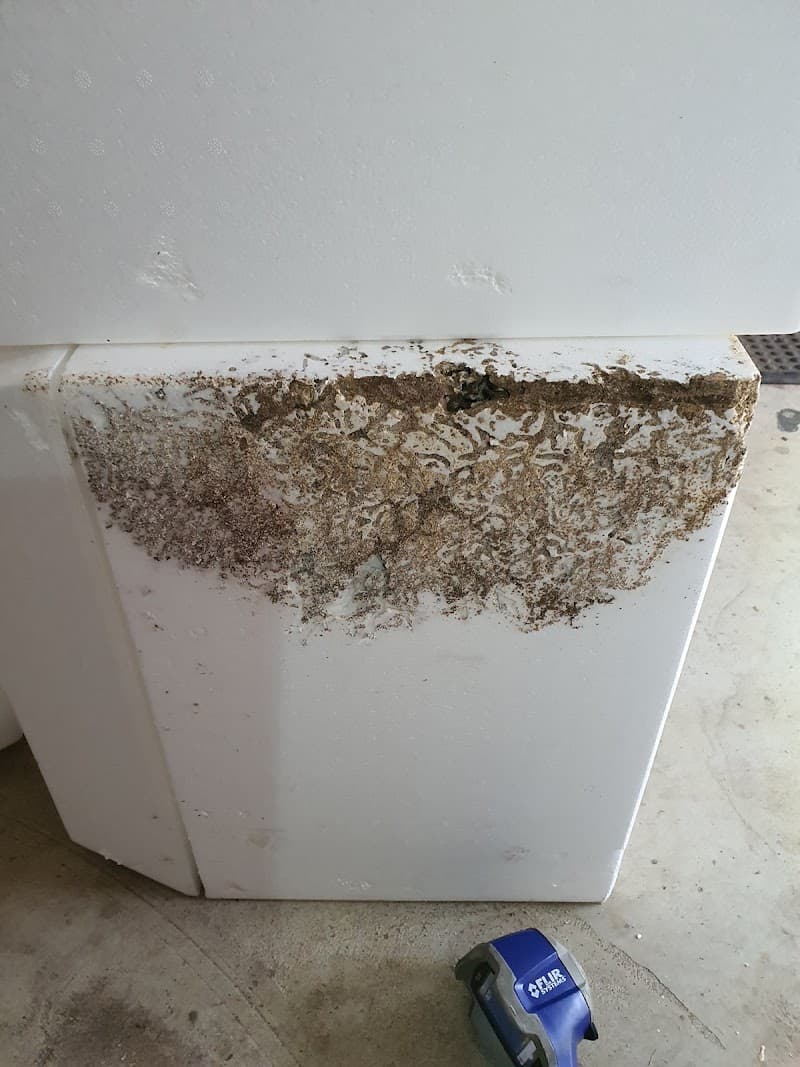 Master Kill Pest Control Warners Bay pest control work in Warners Bay