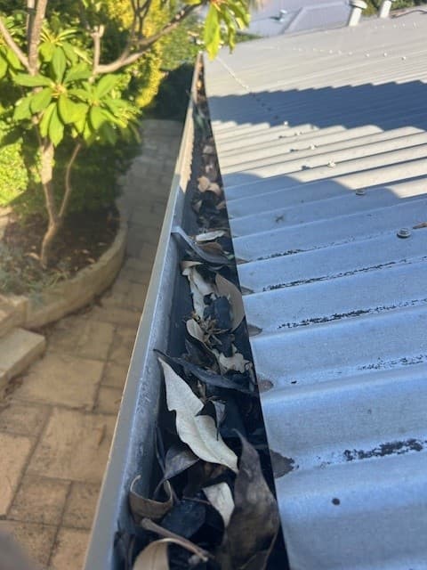 Mates Rates Gutter Cleaning gutter cleaning work in Pickering Brook