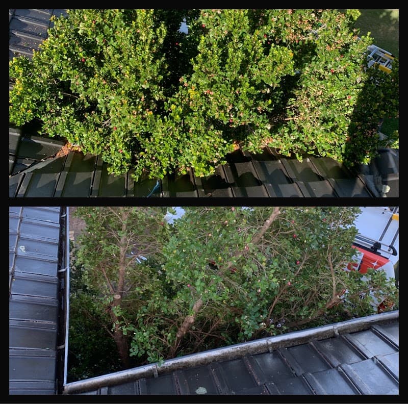 Mates Rates Gutter Cleaning gutter cleaning work in Pickering Brook