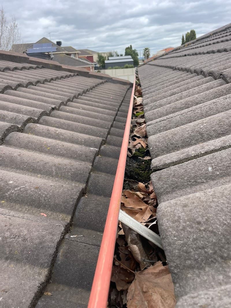 Mavericks Window and Gutter Cleaning gutter cleaning work in Burnside Heights
