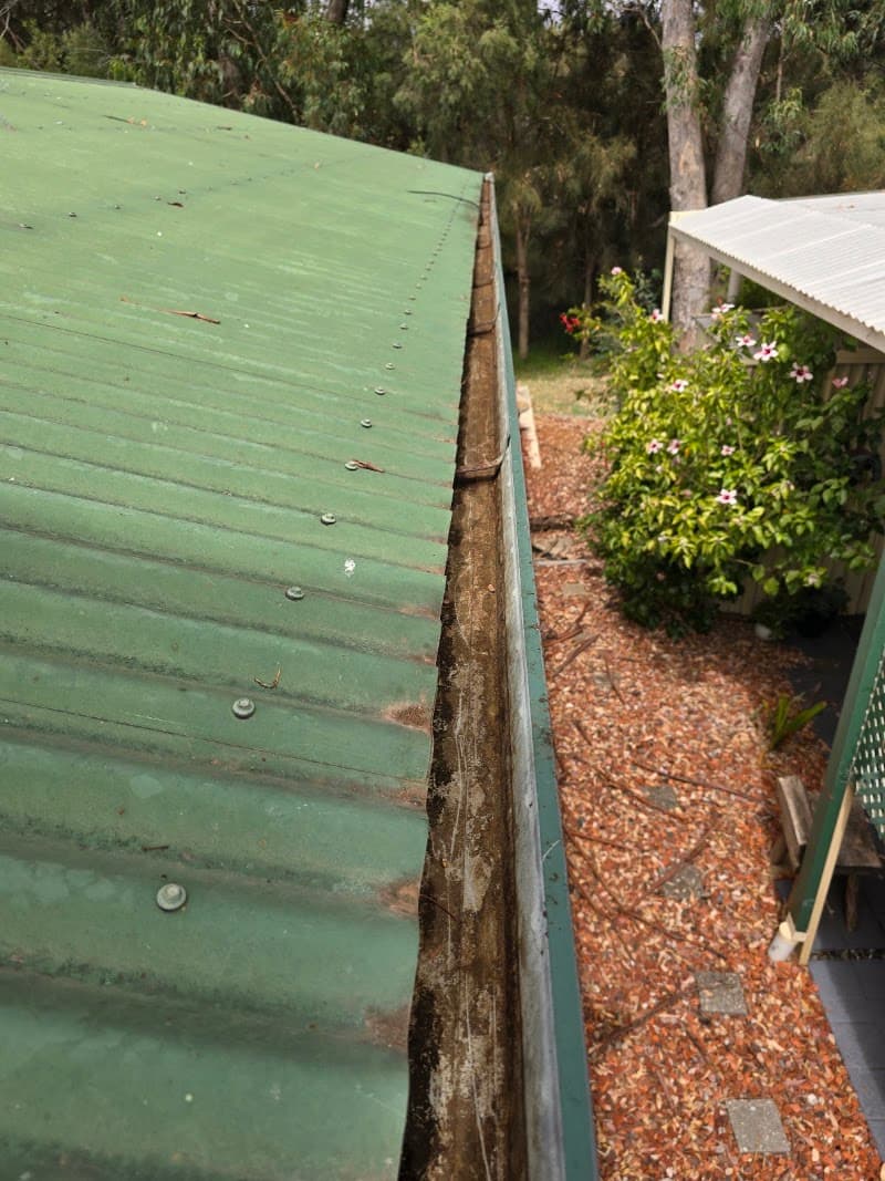 MBL Gutter Master gutter cleaning work in Forrestfield