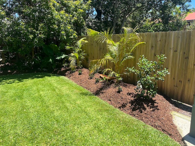 McDaid Property Maintenance lawn care work in Newport