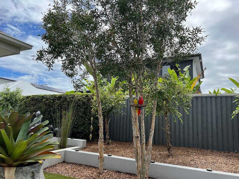 McDaid Property Maintenance lawn care work in Newport