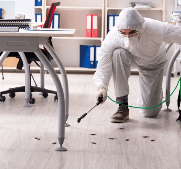 McMahon Pest Services pest control work in Bentley Park