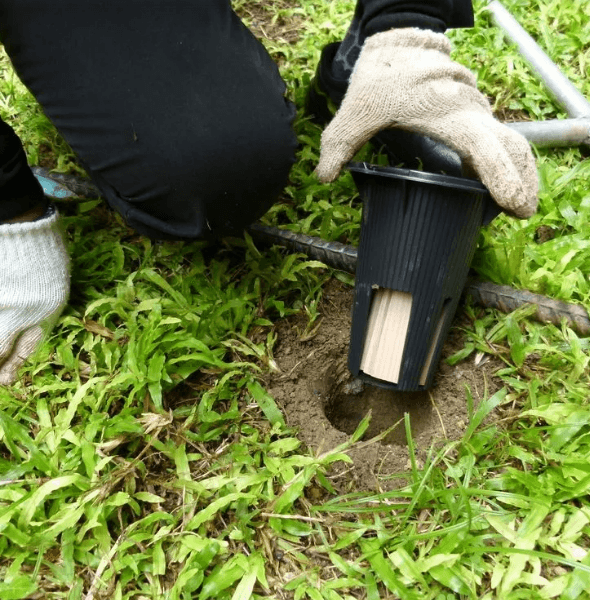McMahon Pest Services pest control work in Bentley Park