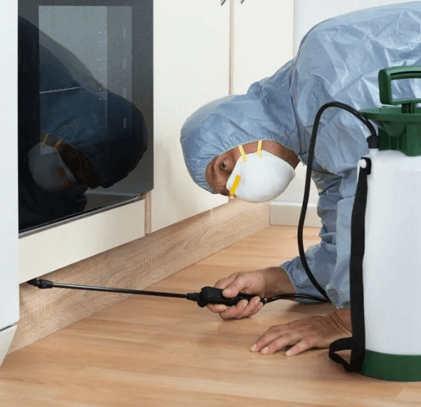 McMahon Pest Services pest control work in Bentley Park