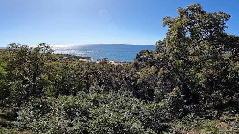 MD Trading Tree Care & Removal tree services work in Bundaberg Central