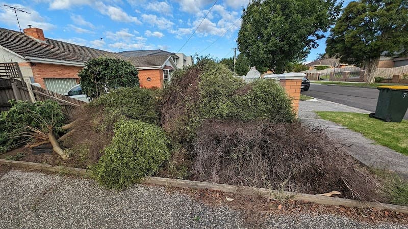 MD Tree Work tree services work in Abbotsford