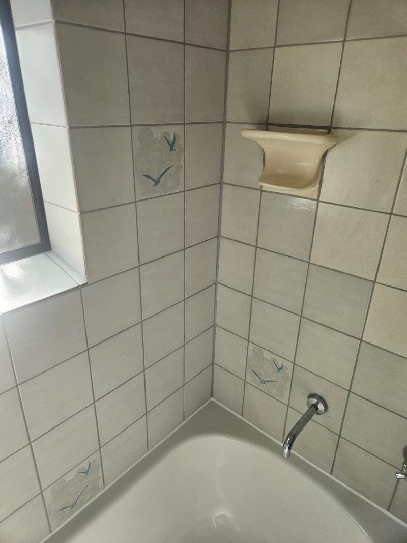 Megasealed South West WA (Megasealed South West Perth) bathroom renovation work in Dalyellup