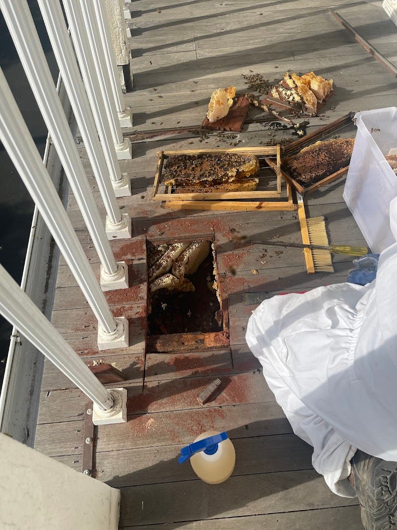 Melbourne 24x7 Pest Control pest control work in Springvale