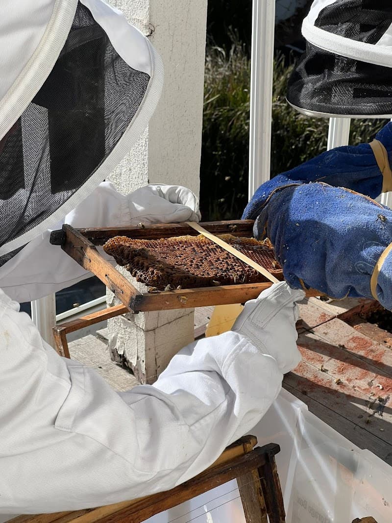 Melbourne 24x7 Pest Control pest control work in Springvale