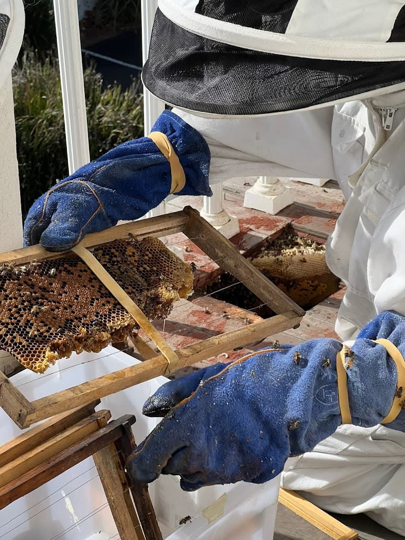 Melbourne 24x7 Pest Control pest control work in Springvale