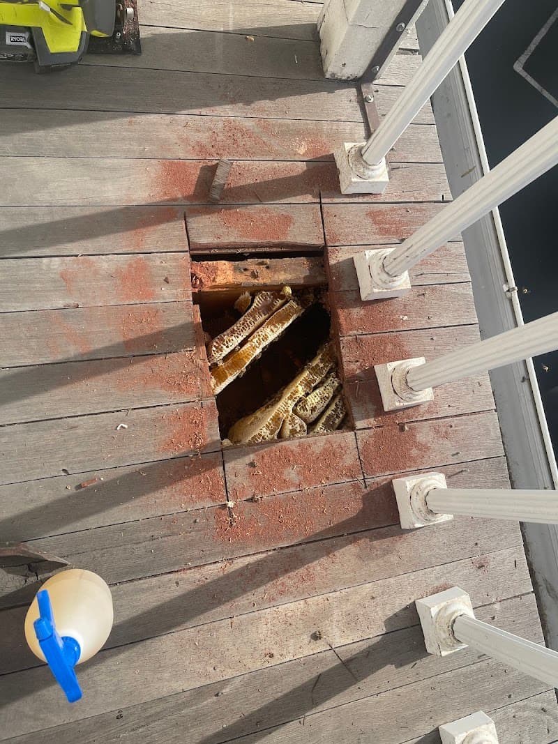 Melbourne 24x7 Pest Control pest control work in Springvale