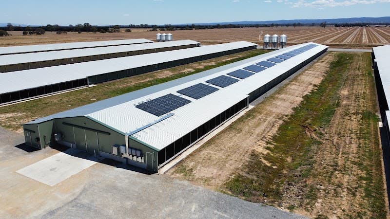 Melbourne Energy Group solar panel installation work in Dandenong South