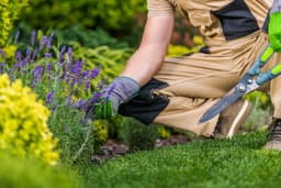 Melbourne Landscape Gardening