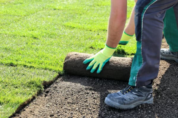 Melbourne Landscape Gardening gardening work in South Yarra