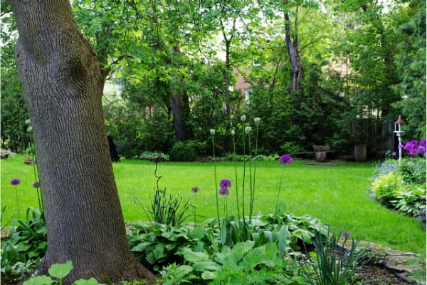 Melbourne Landscape Gardening gardening work in South Yarra